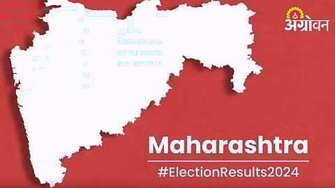 Maharashtra Assembly Election 2024