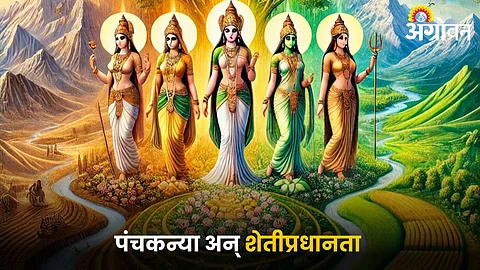 Panchkanya