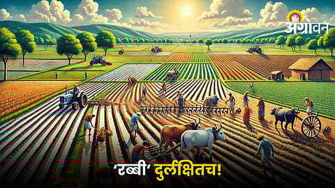 Rabi Season