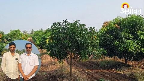 Smart Agriculture