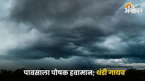 Weather