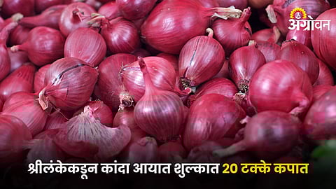 Onion