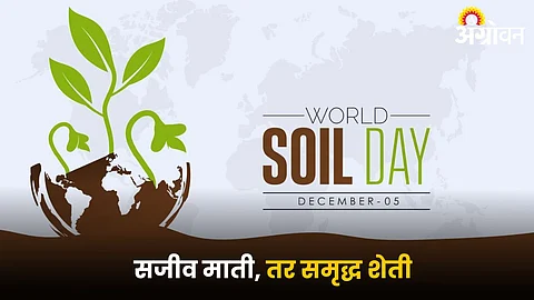 World Soil Day