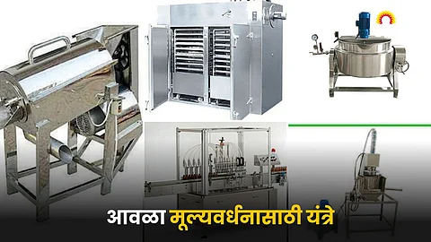 Amla Processing Machines