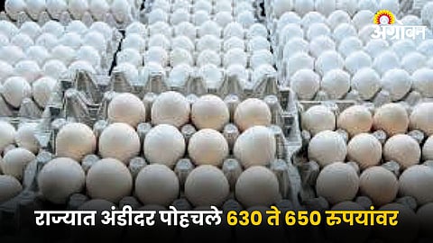 Eggs
