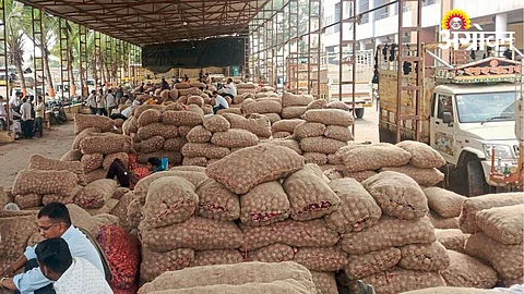 Onion Market