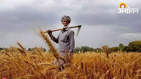 Agriculture MSP