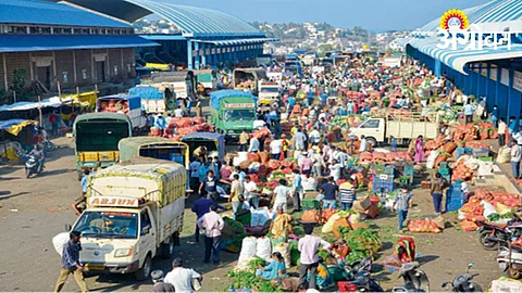 Vegetable Market