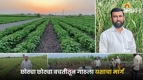 Ravindra More and their farm