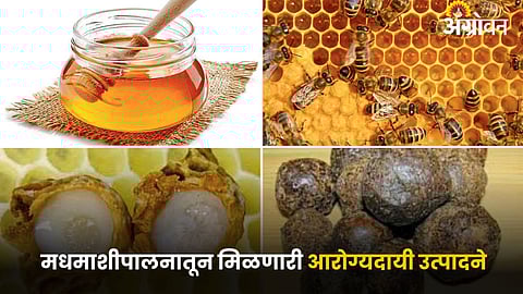 Beekeeping