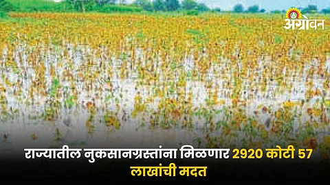 Crop Loss