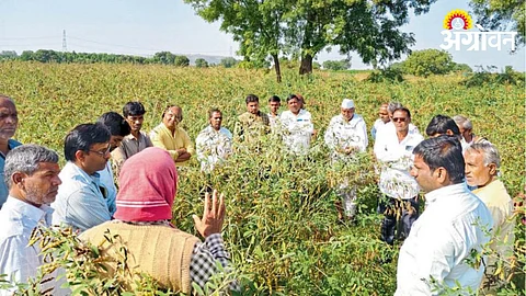 Agriculture News