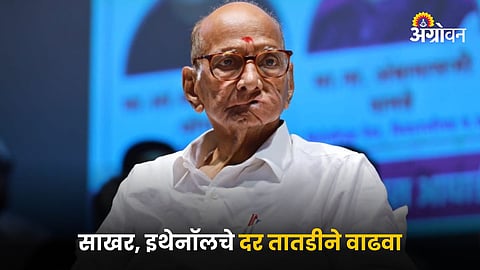 Former Union Agriculture Minister Sharad Pawar