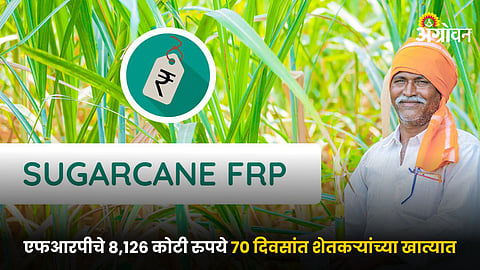 Sugarcane FRP