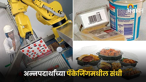 Food Industry
