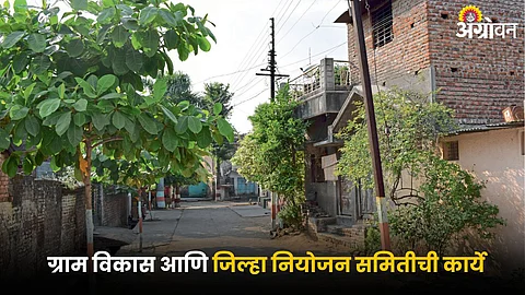 Village Development