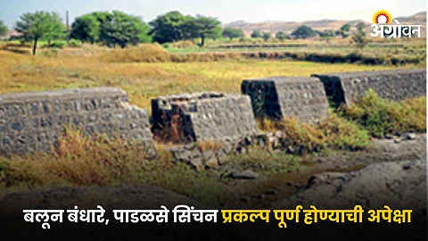 Agricultural Development