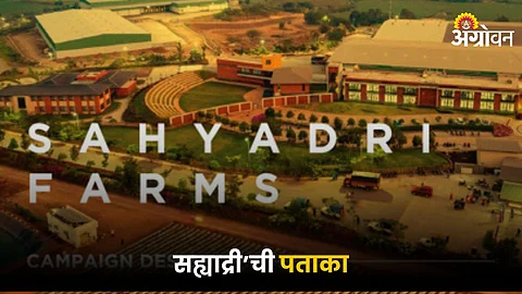 Sahyadri Farm