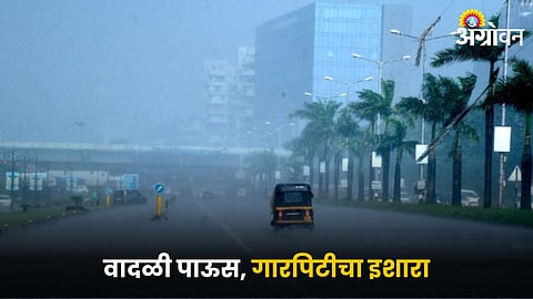 Weather
