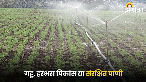 Agricultural Irrigation