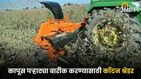 Cotton Farming