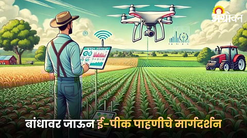 E-Crop Survey