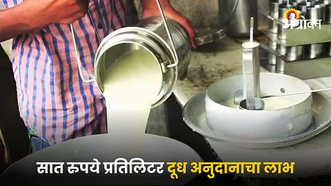 Milk Subsidy