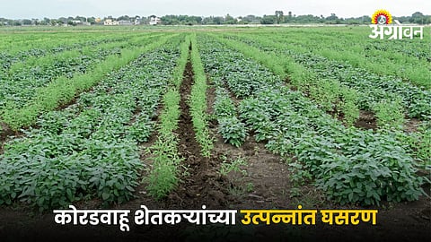 Dryland Farming