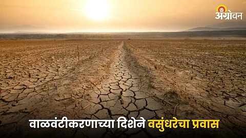 Desertification
