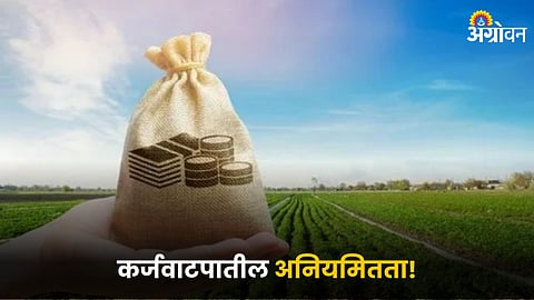 Crop Loan Distribution Irregularities
