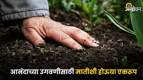 Agriculture