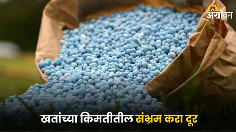 Agriculture Fertilizer