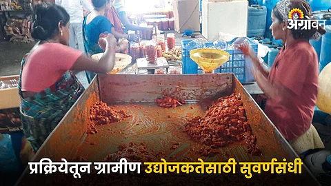 Rural Entrepreneurship