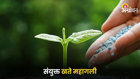 Fertilizers