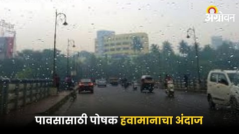 Weather Forecast