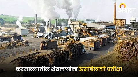 Sugar Industry