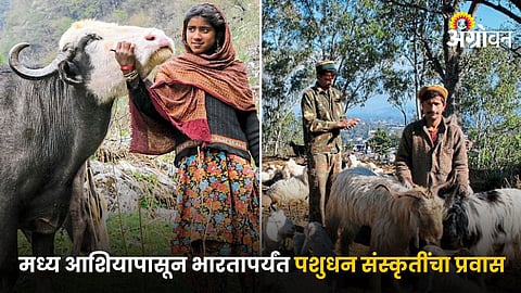 Agricultural Tradition