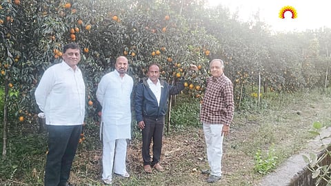 Orange Farm