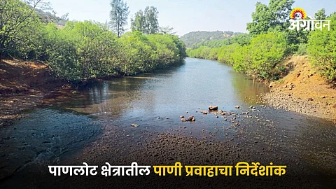 Watershed Managment