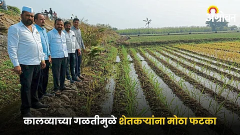 Crop Damage