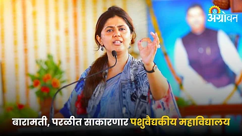 Animal Husbandry Minister Pankaja Munde