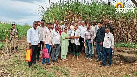 Agriculture Problems