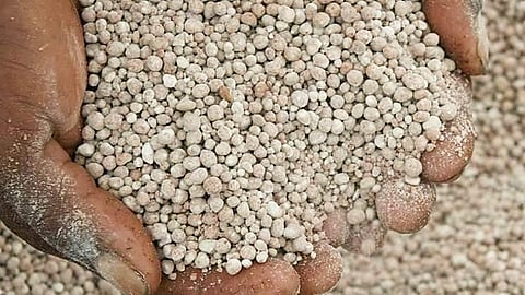 Fertilizers Shortage