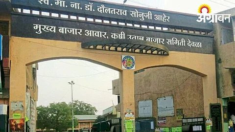 APMC Market