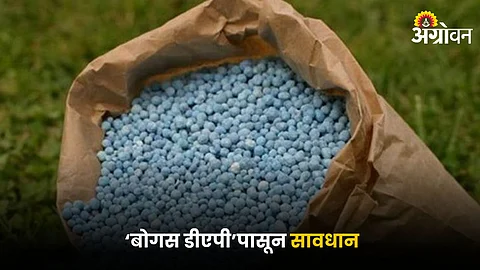 Fertilizer