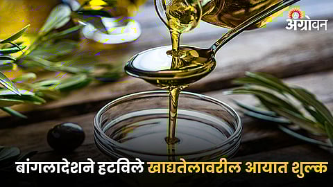 Edible Oil