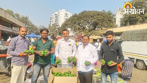 Capsicum Rate