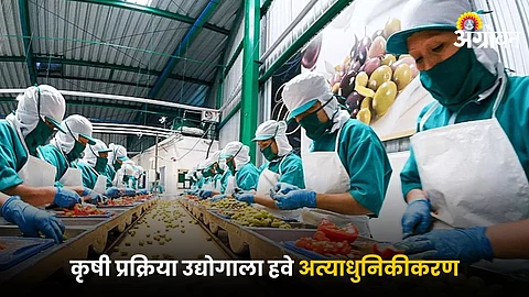 Agriculture Processing Industry