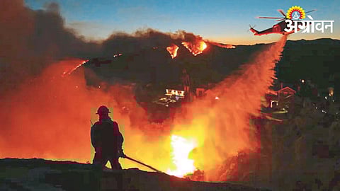 Forest Fire In America