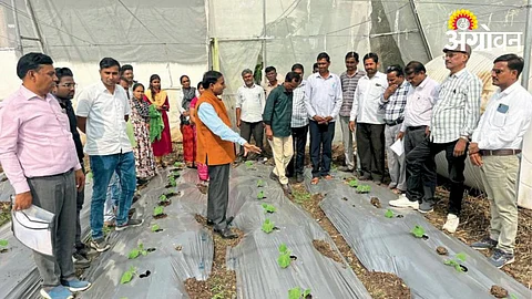 Crop Inspection